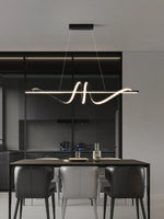 Artistic Loop LED Pendant Light - Housdecor Ceiling Light Fixture