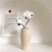 INS Ceramic Vase - Housdecor Home Decor