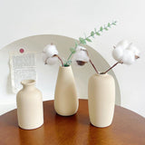 INS Ceramic Vase - Housdecor Home Decor