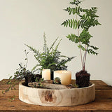 Modern Organic Wooden Decorative Bowl - Housdecor Decorative Bowl